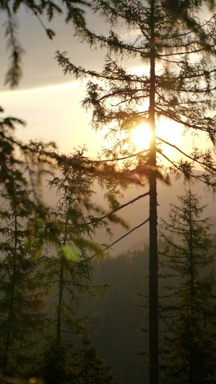 Naturhotel Ortners Eschenhof Бад-Кляйнкірхгайм Екстер'єр фото